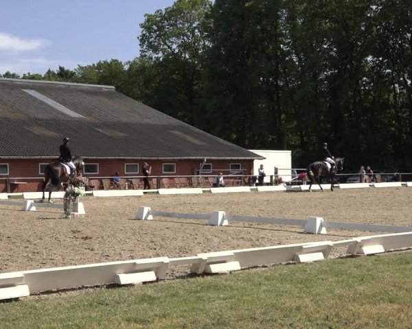 Reitturnier Mettingen 2023