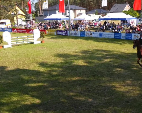Reitturnier Cottbus-Sielow 2023