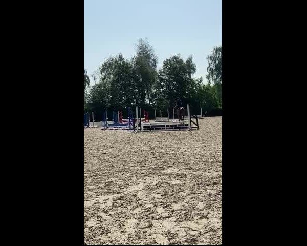 Video of Ascalexus Z