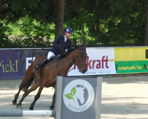 Reitturnier Karlsfeld/Obb. 2023