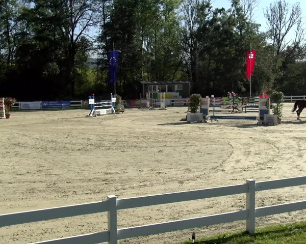Reitturnier Isny-Rohrdorf 2021