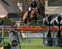 broodmare Jadetta van het Mettenhof (Belgian Warmblood, 2009, from Sandro Boy)