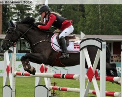 stallion Kantje's Valentijn (New Forest Pony, 2002, from Marits Mistique)