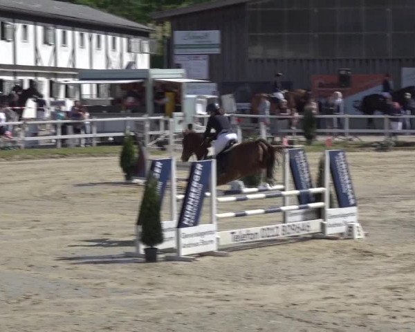 Reitturnier Siegen-Weidenau 2023