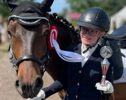 Dressurpferd Bounty 256 (Deutsches Reitpony, 2011, von Batida de Coco)