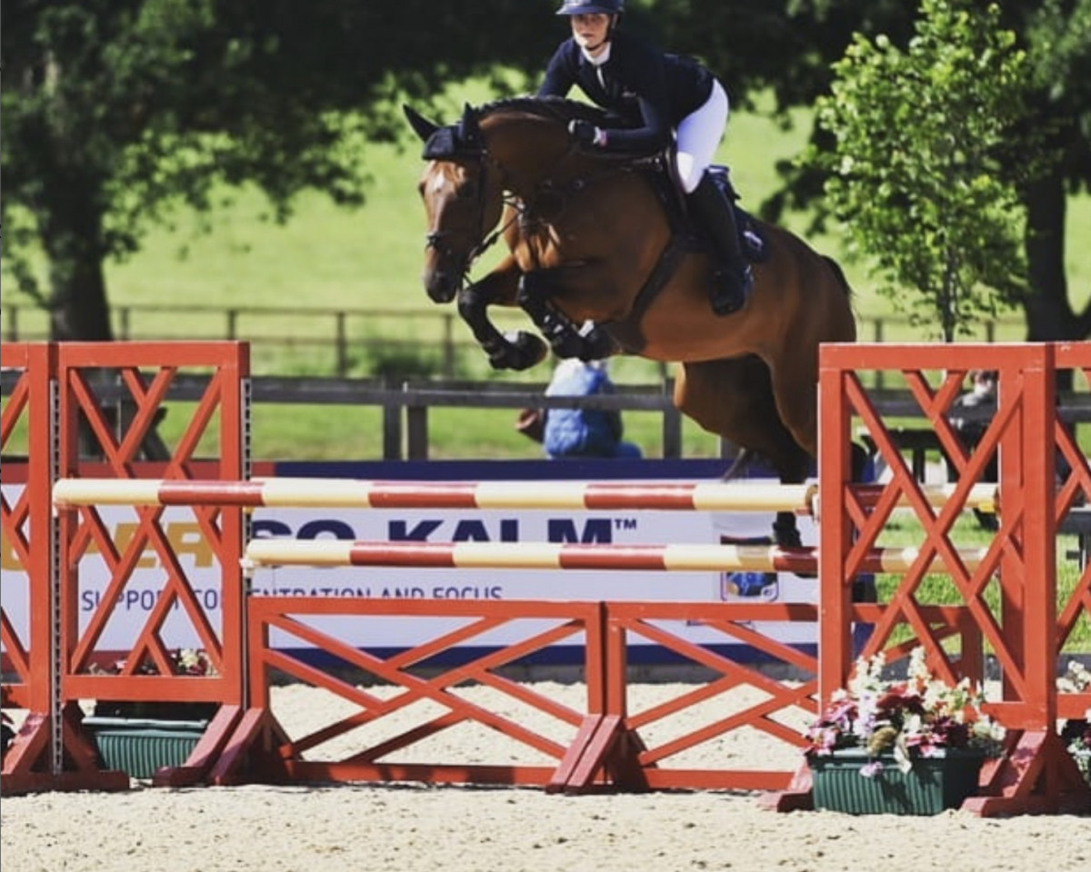 jumper Billy Rivera (anglo european sporthorse, 2016, from Casallo Z)