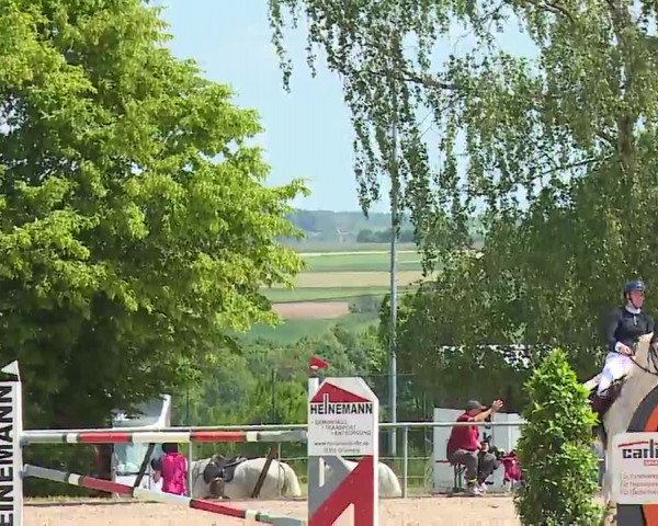 Reitturnier Landenhausen 2023