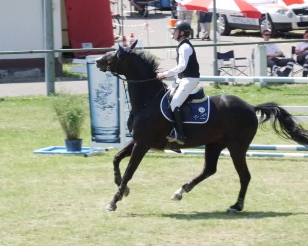 Reitturnier Forst 2023