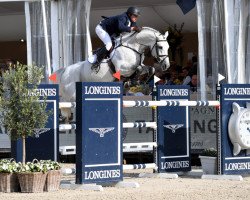 stallion Cape Coral Rbf Z (Zangersheide riding horse, 2011, from Cornet Obolensky)