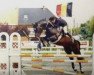 stallion Grannusso (Hanoverian, 1993, from Graf Grannus)