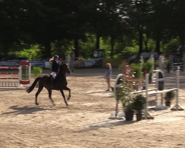 Reitturnier Iserlohn-Kalthof 2023