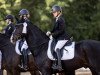 dressage horse Don Juan 203 (Bavarian, 2009, from Birkhofs Denario)