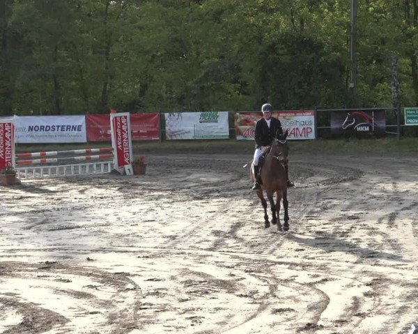 Reitturnier Mettingen 2023
