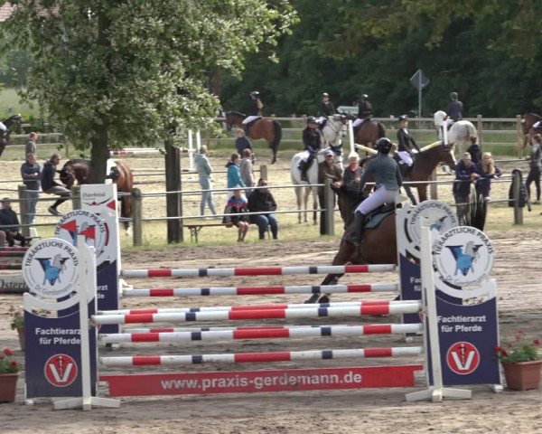 Reitturnier Mettingen 2023