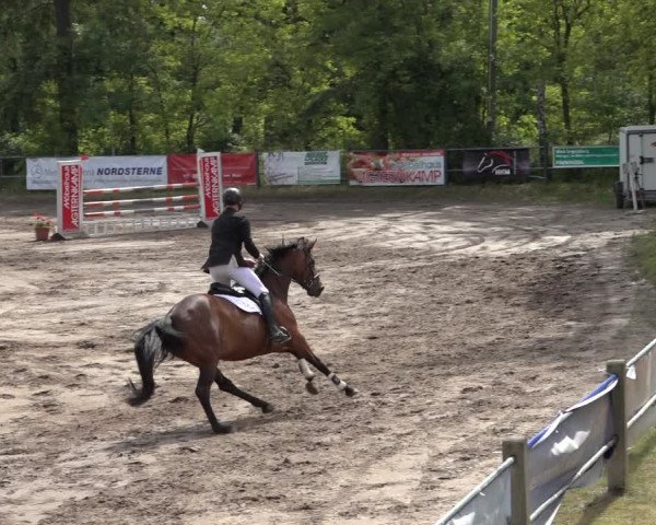Reitturnier Mettingen 2023