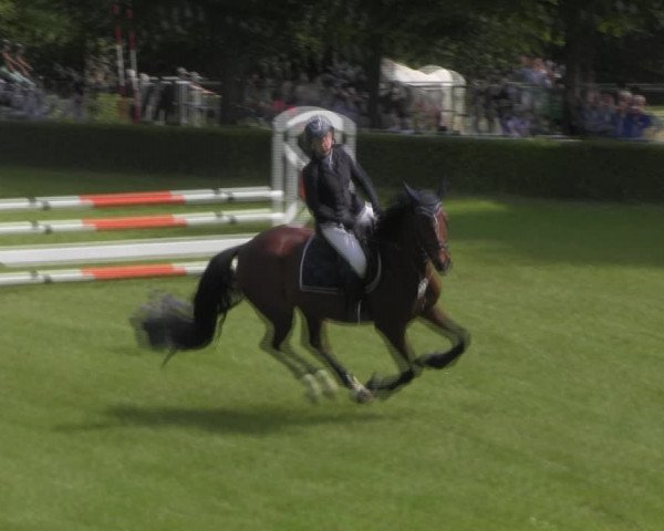 Reitturnier Westeregeln 2023