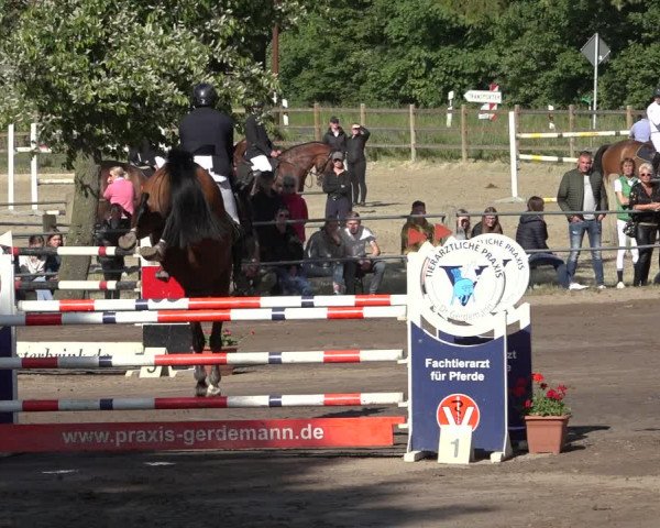 Reitturnier Mettingen 2023