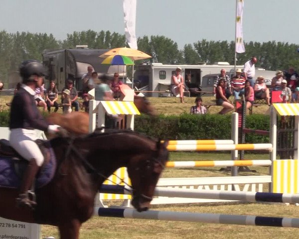Reitturnier Wustrow 2023