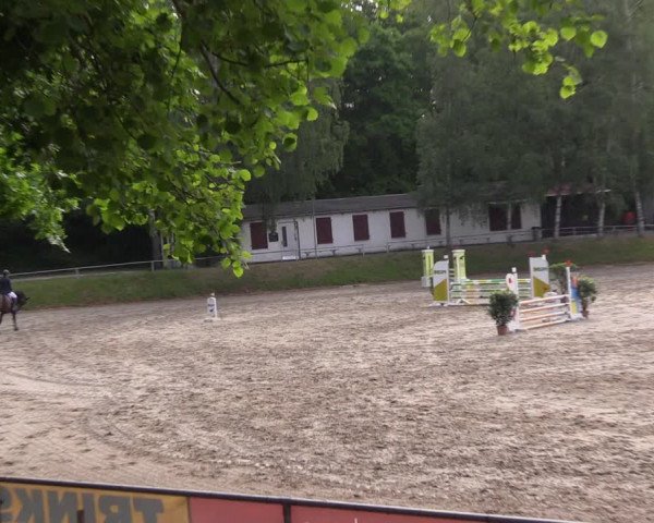 Reitturnier Lgl.-Oberhain 2023