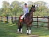 dressage horse Sir Sasse (Westphalian, 2012, from San Cavalier Plus)