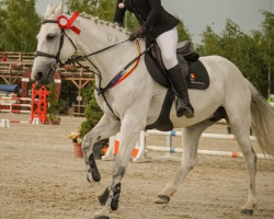 jumper Karmex (Hungarian Warmblood, 2009, from Acorn)