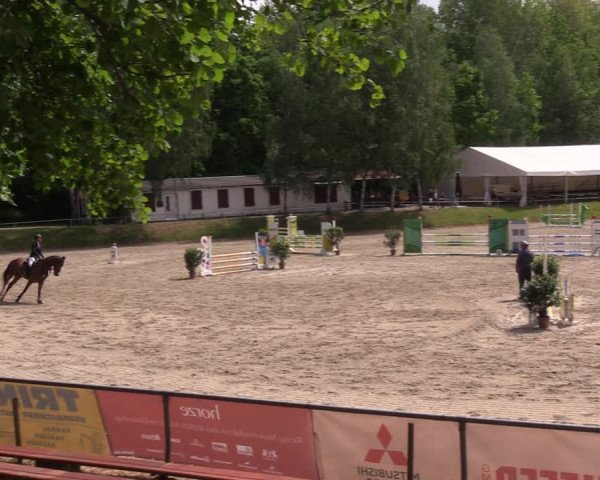 Reitturnier Lgl.-Oberhain 2023