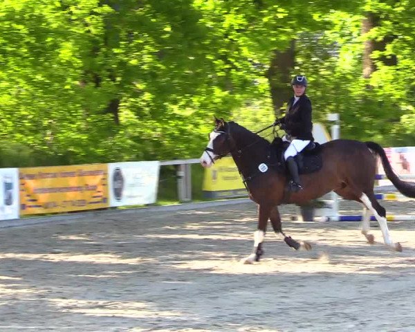 Reitturnier Kropp 2023