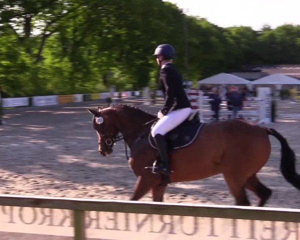 Reitturnier Kropp 2023