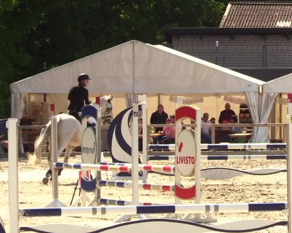 Reitturnier Kropp 2023