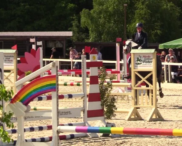 Reitturnier Kropp 2023