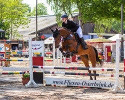 jumper Queen's Don't Stop Me Now (German Sport Horse, 2017, from Quick Star IV CH)