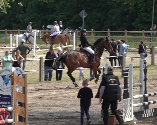 Reitturnier Mettingen 2023