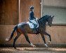 dressage horse London's Prince 3 (Hanoverian, 2017, from Londontime)