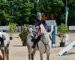 jumper Aby Soleil (Swiss Warmblood, 2014, from Unbekannt SUI)