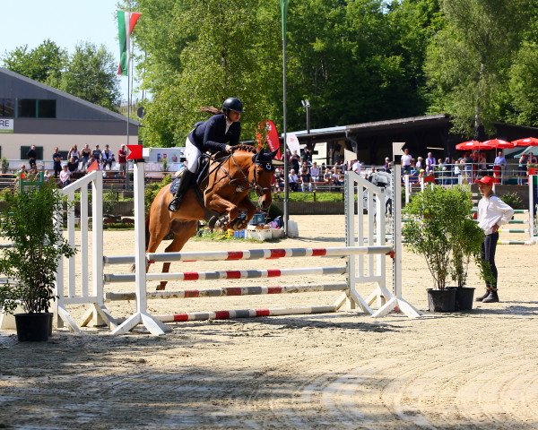 jumper Orange is the new black (German Riding Pony, 2018)