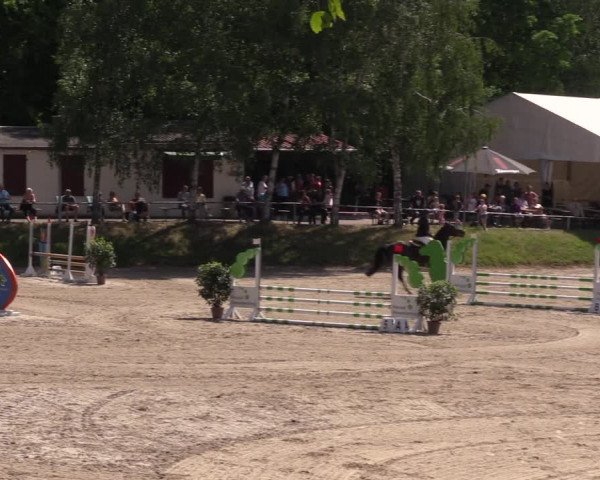 Reitturnier Lgl.-Oberhain 2023