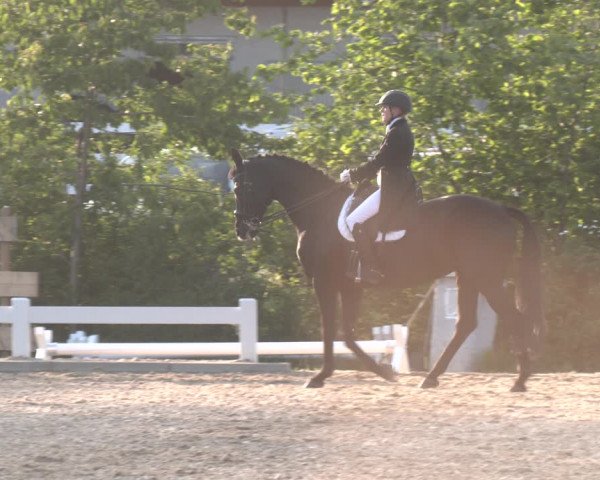 Reitturnier Kreuttal - Frey Horses 2023