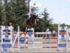 jumper Quiletta D (Nederlands Rijpaarden en Pony, 2010, from Quiletto)