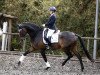 dressage horse Just A Dream 3 (KWPN (Royal Dutch Sporthorse), 2014, from Glock's Dream Boy)