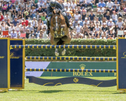 Springpferd K.i Maurice (Belgisches Warmblut, 2012, von Thunder van de Zuuthoeve)