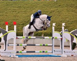 jumper Hennes de Lux S (Oldenburg show jumper, 2014, from Hermes de Lux)