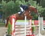 jumper Glanzlicht FS (German Sport Horse, 2007, from Landsieger I)