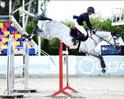 jumper Antares (Latvian Warmblood, 2012, from Cristallo I)