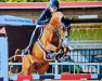 jumper Hickstead's Moon Kw (Hanoverian, 2018, from Hickstead White)