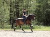 jumper Clara 222 (Zangersheide riding horse, 2015, from Chellsini Z)