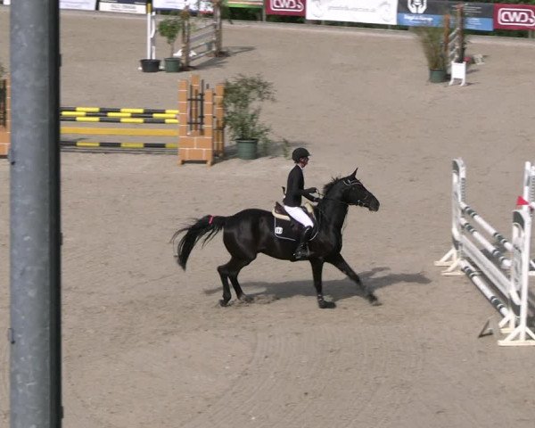 Reitturnier Erkrath - Uhlenhof 2023