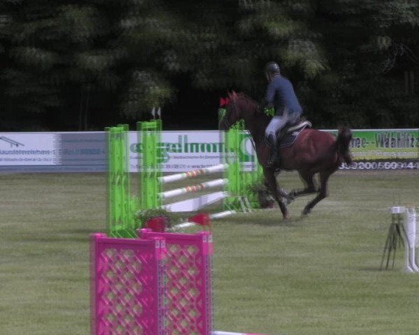 Reitturnier Königsborn 2023