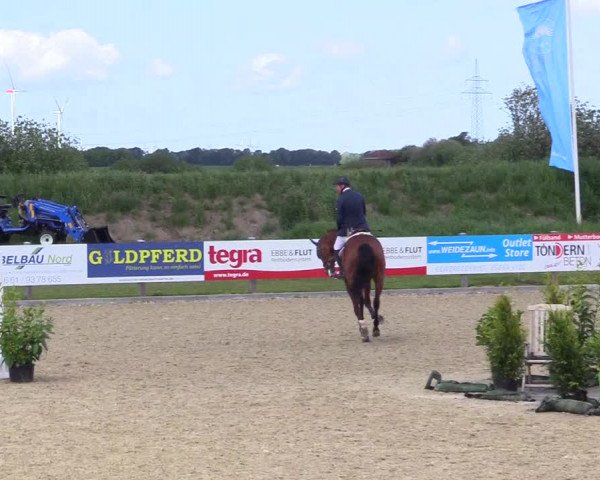 Reitturnier Niebüll 2023