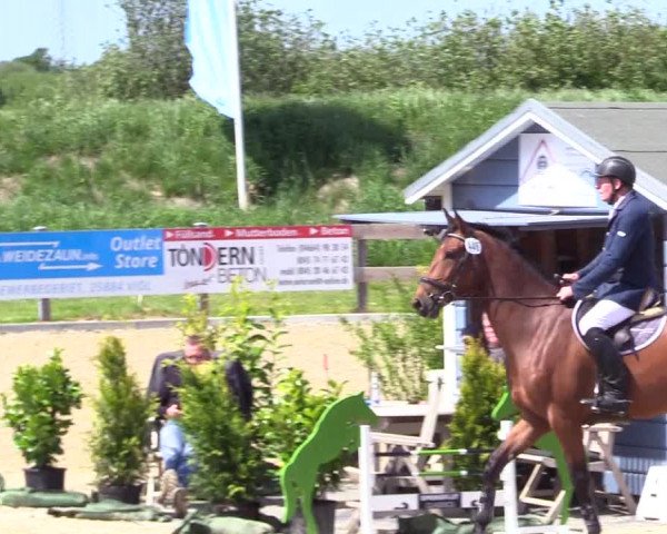 Reitturnier Niebüll 2023