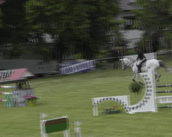 Reitturnier Königsborn 2023